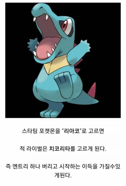 포켓몬스터 골드버전 공략 최고 꿀팁.jpg