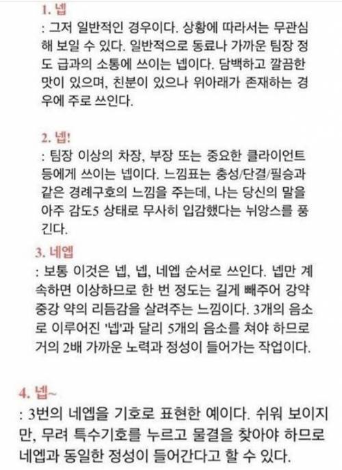 넵의 30가지 종류.jpg