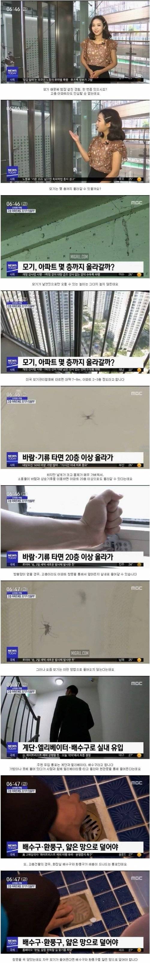 모기는 아파트 몇 층까지 올라갈까?.jpg