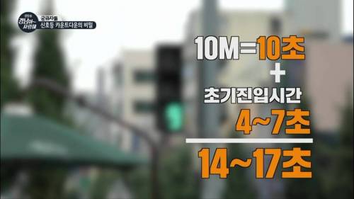 [스압] 횡단보도 신호등 시간의 비밀.jpg