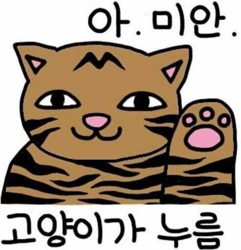 아 미안~ 고양이가 누름.mp4