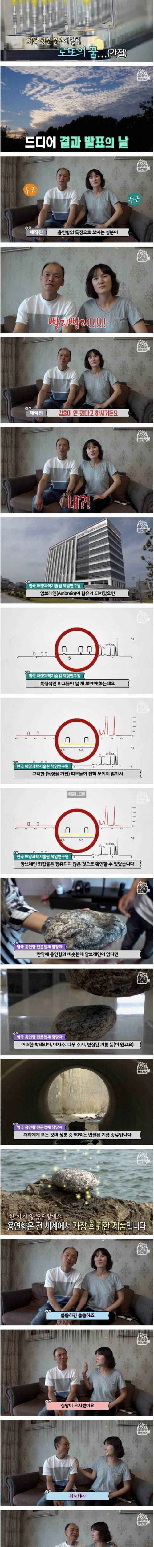 [스압] 전 세계에서 가장 귀한 똥을 주운 사나이.jpg