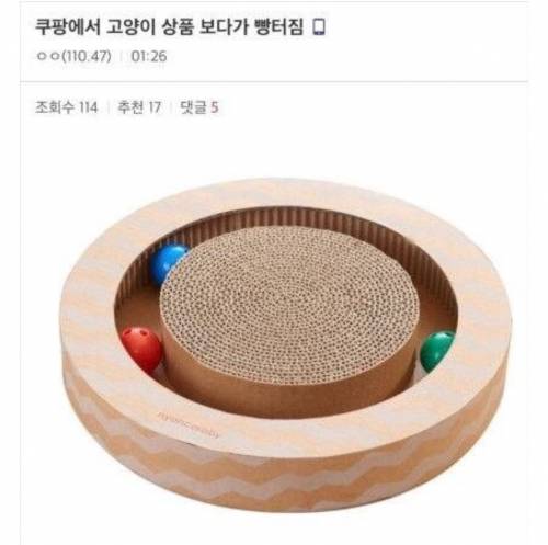 쿠팡에서 고양이상품보다 빵터짐