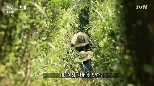 [스압] 일로 만난 이효리와 유재석.jpg