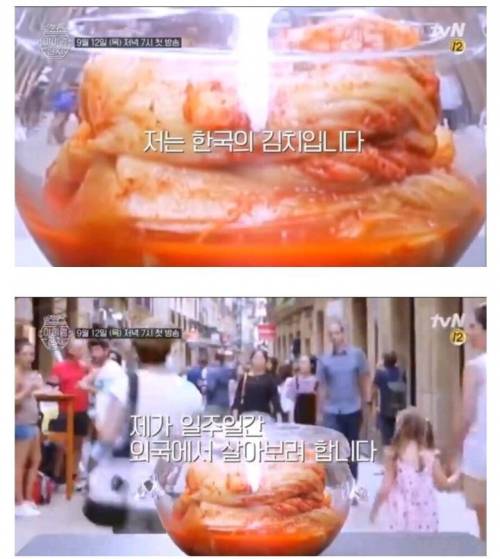 국뽕 최고존엄 김치 프로그램 시동건다 .jpg