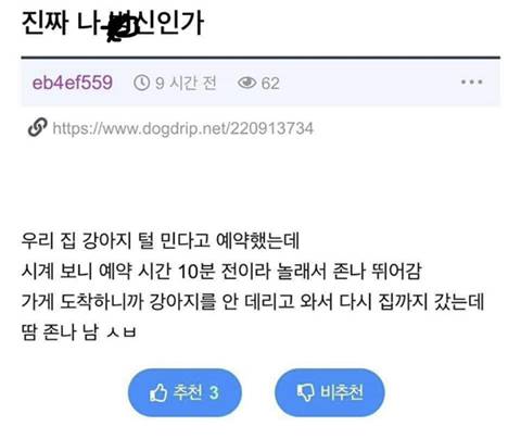 우리 집 강아지 털 민다고 예약했는데