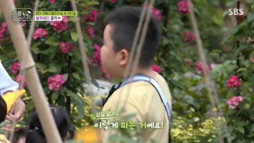 7살에게 삽질을 가르치는 이유.jpg