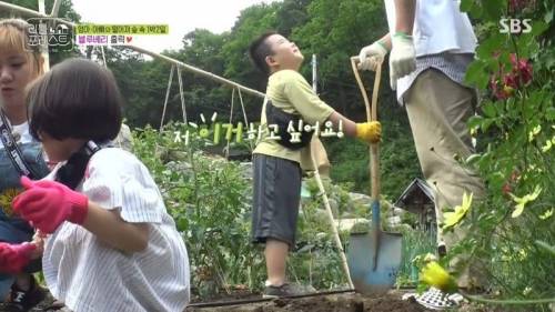 7살에게 삽질을 가르치는 이유.jpg