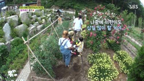 7살에게 삽질을 가르치는 이유.jpg