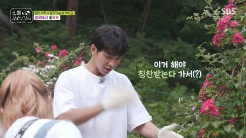 7살에게 삽질을 가르치는 이유.jpg
