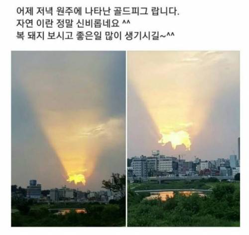 한번씩 보시고 복받아 가세요!.jpg