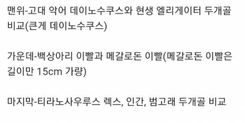 고대 포식자들의 크기를 단번에 이해시켜주는 사진들