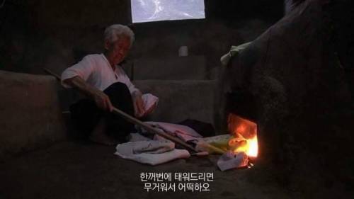 [스압] 인생의 동반자를 보내고 난 후.jpg