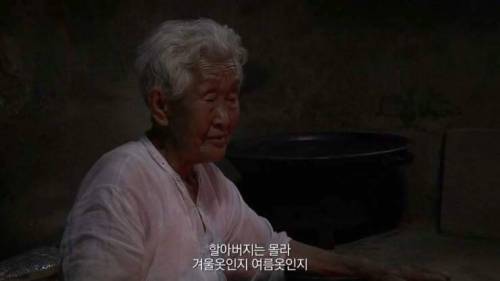 [스압] 인생의 동반자를 보내고 난 후.jpg