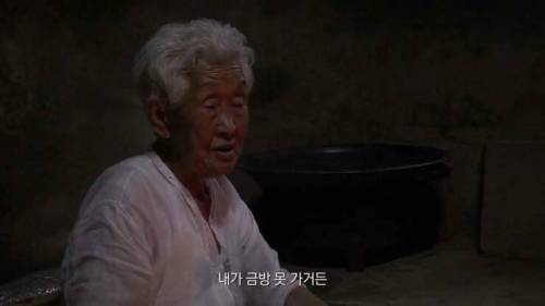[스압] 인생의 동반자를 보내고 난 후.jpg