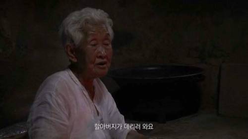 [스압] 인생의 동반자를 보내고 난 후.jpg