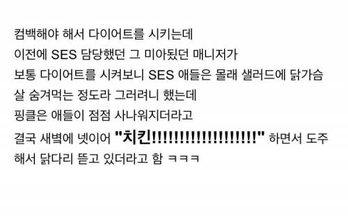 핑클에 관련된 여러가지 일화