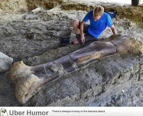 넓적다리 뼈 하나가 500kg.jpg