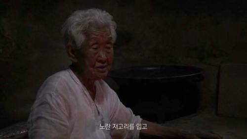 [스압] 인생의 동반자를 보내고 난 후.jpg