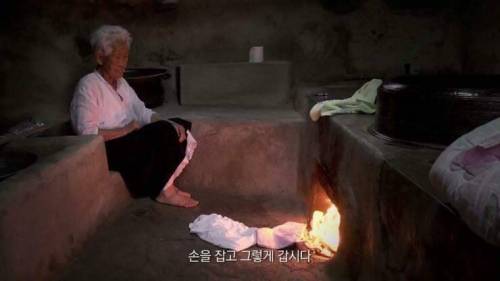 [스압] 인생의 동반자를 보내고 난 후.jpg