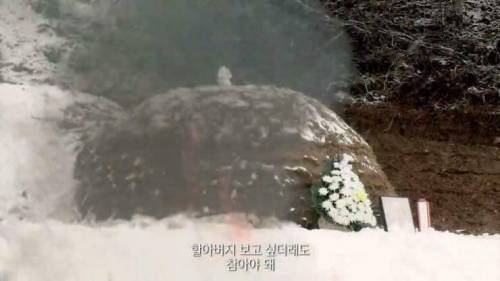 [스압] 인생의 동반자를 보내고 난 후.jpg