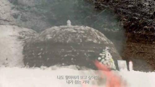 [스압] 인생의 동반자를 보내고 난 후.jpg
