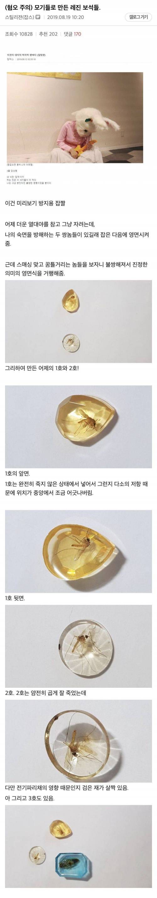 [약혐]디시인이 만든 모기 레진 보석.jpg