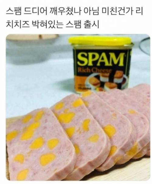 스팸 근황.jpg