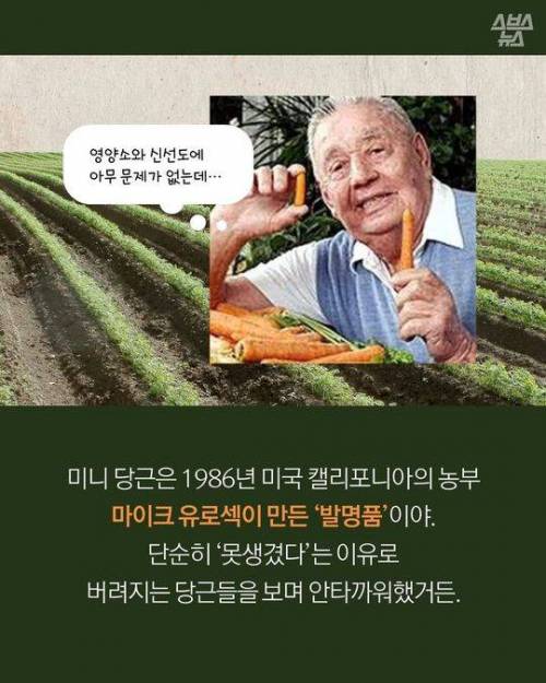 미니 당근의 진실.jpg