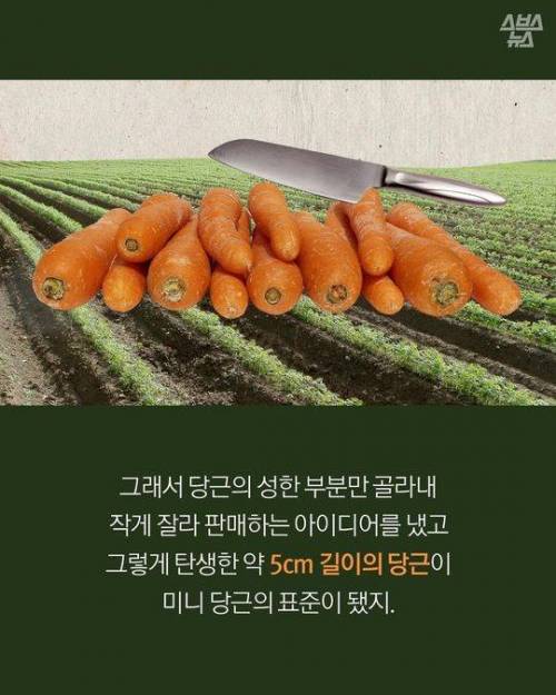 미니 당근의 진실.jpg