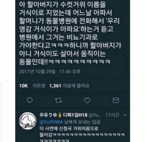 거위의 꿈.jpg