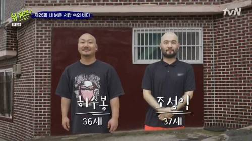 [스압] 여기 입사하려면 하려면...