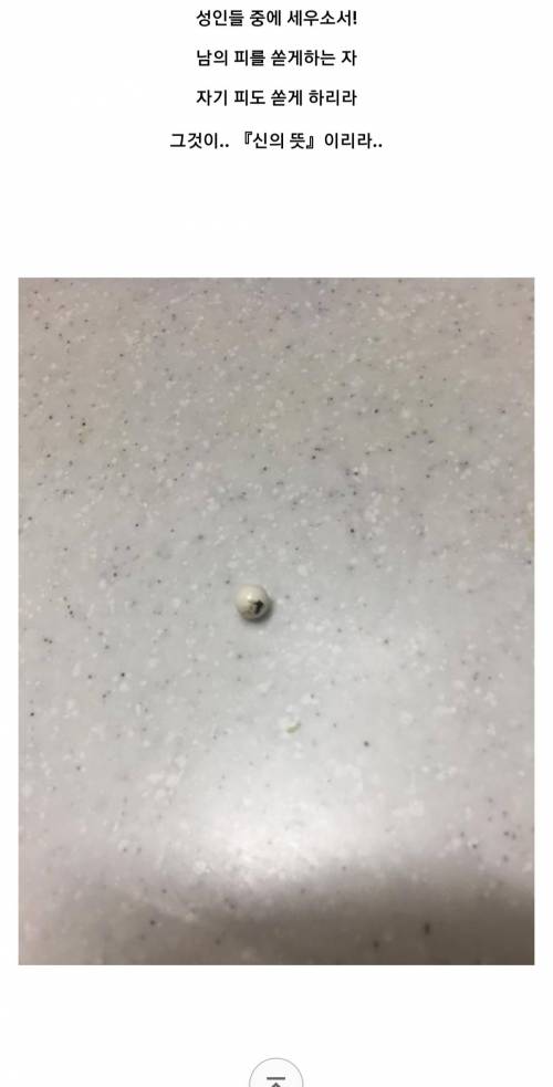 [스압] 모기 갤러리 레전드 작품 "호적수"