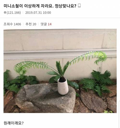 식물갤 근황.jpg