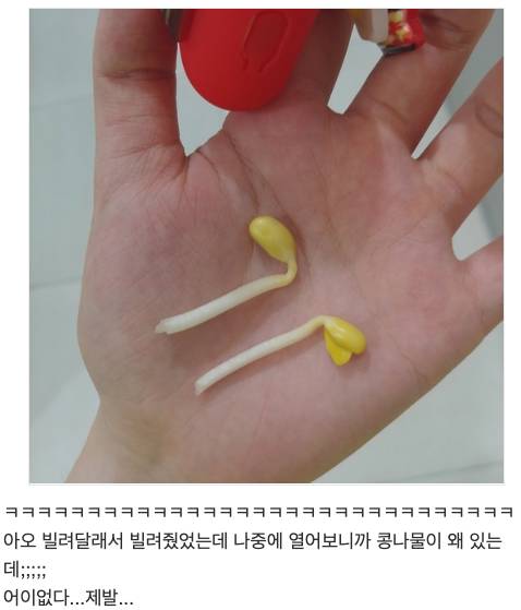 친구한테 에어팟 먹튀당함.jpg
