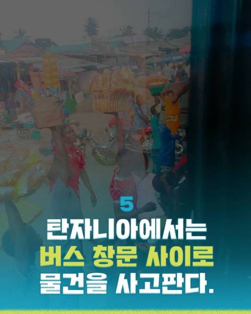 [스압] 해외문화충격들.jpg