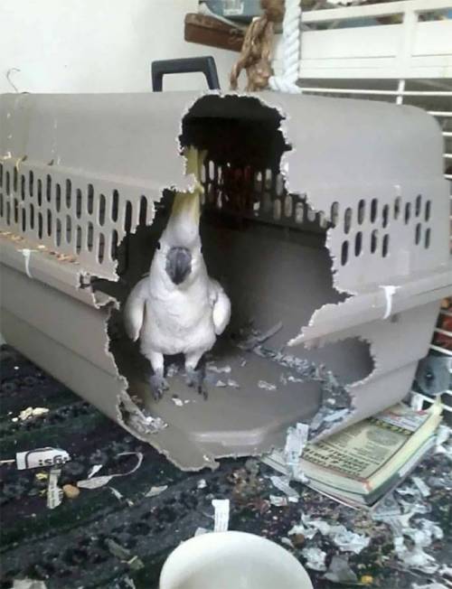 [스압] 새 사진.jpg
