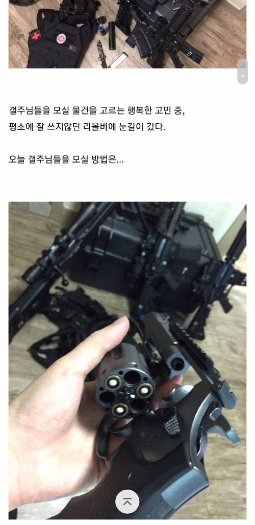 [스압] 모기 갤러리 레전드 작품 "호적수"