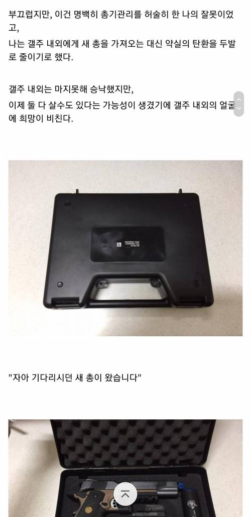 [스압] 모기 갤러리 레전드 작품 "호적수"