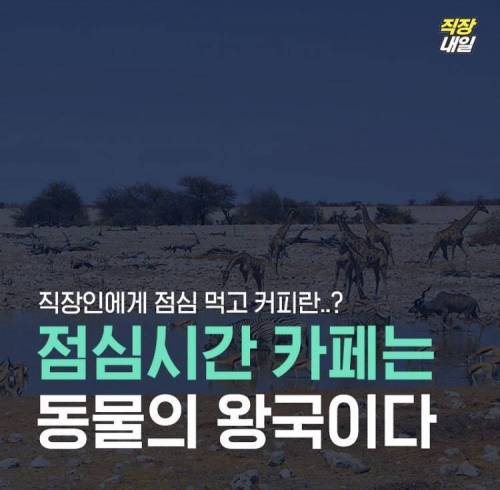 직딩에게 점심 먹고 커피란?..