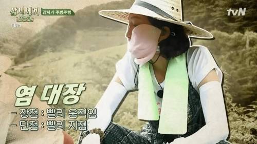 현실 엄마 보는 것 같은 삼시세끼 염정아