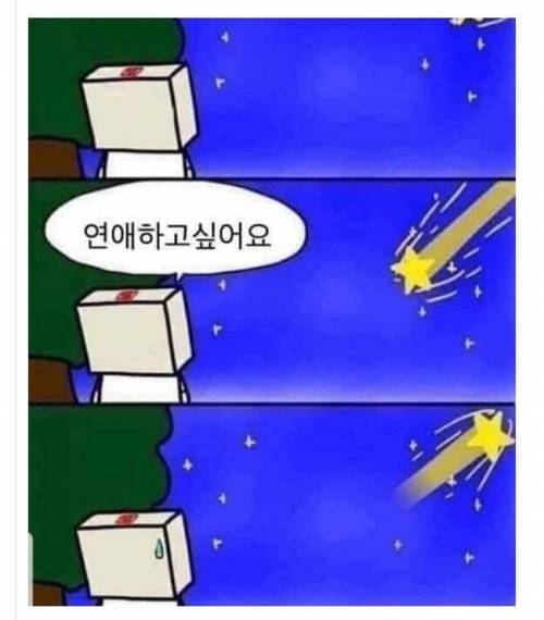 별똥별에 소원 빌기.jpg