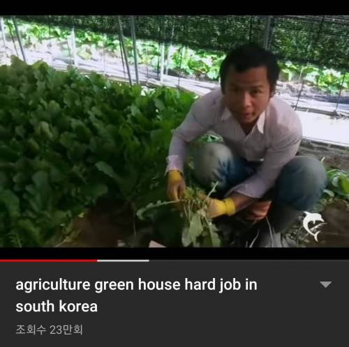 네팔인들 한국와서 찍은 VLOG.JPG