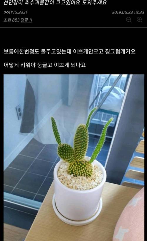 식물갤 근황.jpg