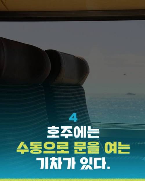 [스압] 해외문화충격들.jpg