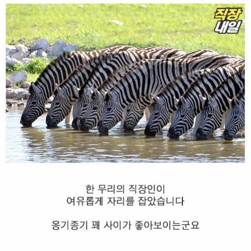 직딩에게 점심 먹고 커피란?..