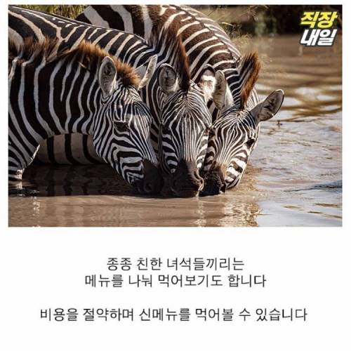 직딩에게 점심 먹고 커피란?..