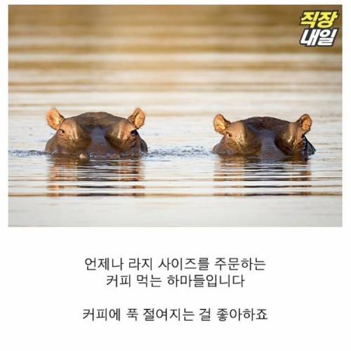 직딩에게 점심 먹고 커피란?..
