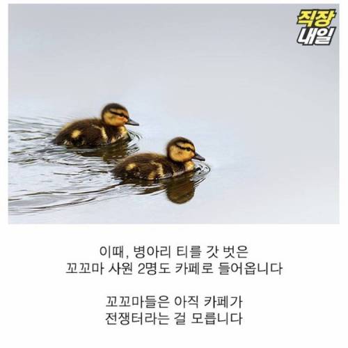 직딩에게 점심 먹고 커피란?..