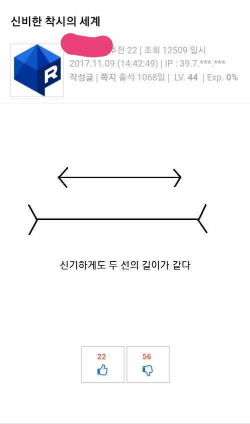 신비한 착시의 세계.jpg